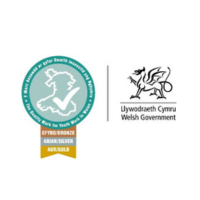 PConwy Youth Service Logo